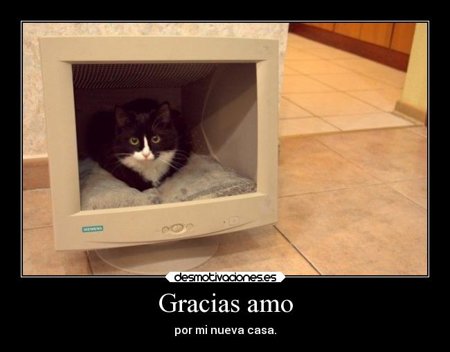 Gracias amo - 