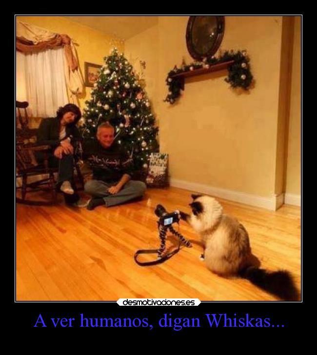 A ver humanos, digan Whiskas... - 