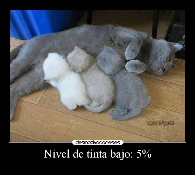 carteles gatos impresora sin tinta uhumor jesshellscythe desmotivaciones