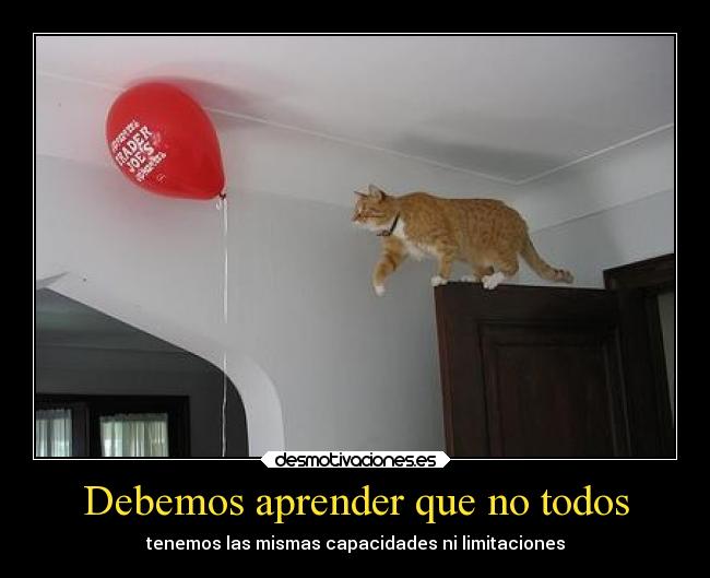 Debemos aprender que no todos - 