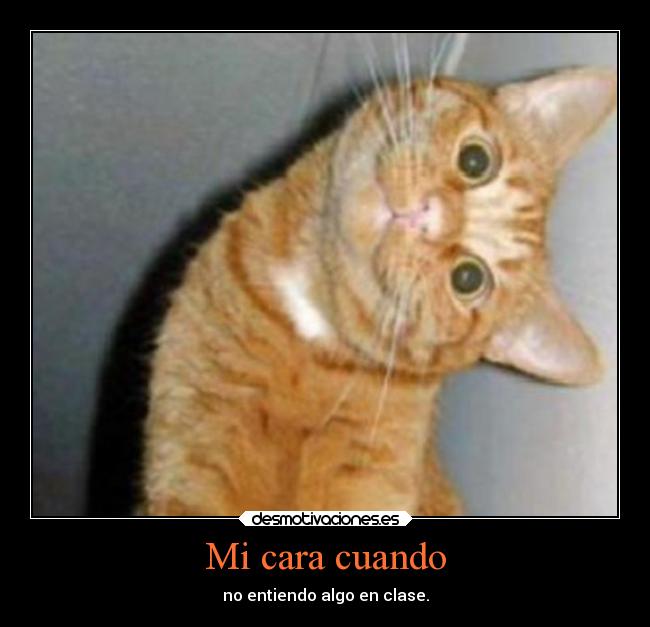 Mi cara cuando -