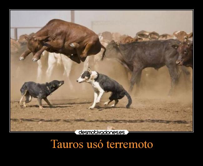 Tauros usó terremoto - 