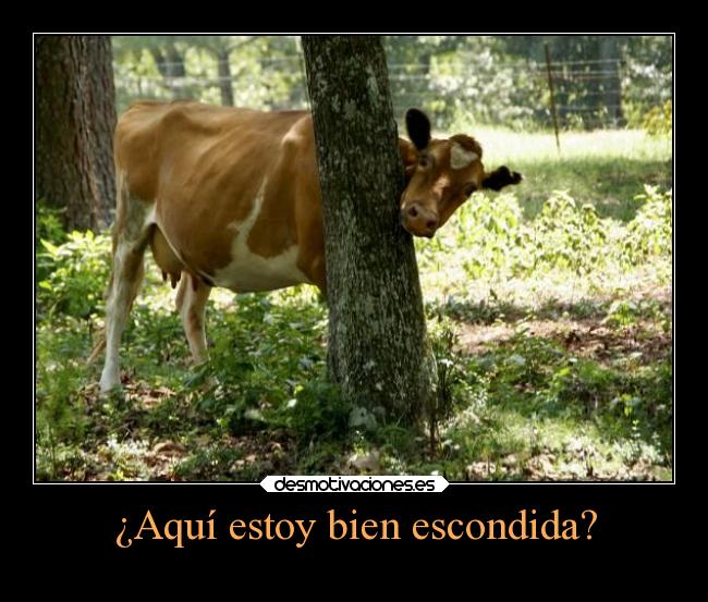 ¿Aquí estoy bien escondida? -