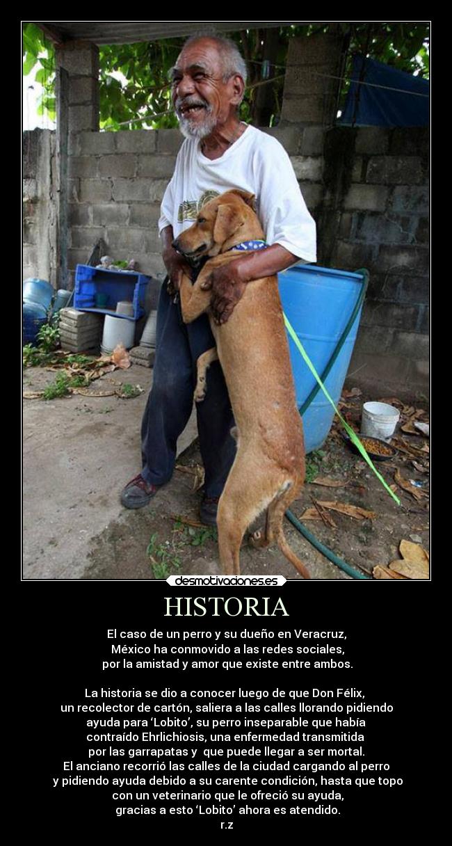 HISTORIA - El caso de un perro y su dueño en Veracruz,
México ha conmovido a las redes sociales,
por la amistad y amor que existe entre ambos.
La historia se dio a conocer luego de que Don Félix,
un recolector de cartón, saliera a las calles llorando pidiendo
ayuda para ‘Lobito’, su perro inseparable que había
contraído Ehrlichiosis, una enfermedad transmitida
por las garrapatas y que puede llegar a ser mortal.
El anciano recorrió las calles de la ciudad cargando al perro
y pidiendo ayuda debido a su carente condición, hasta que topo
con un veterinario que le ofreció su ayuda,
gracias a esto ‘Lobito’ ahora es atendido.
r.z