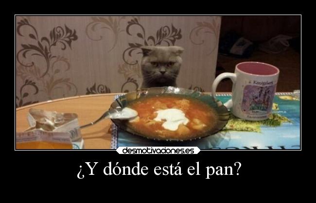 ¿Y dónde está el pan? - 