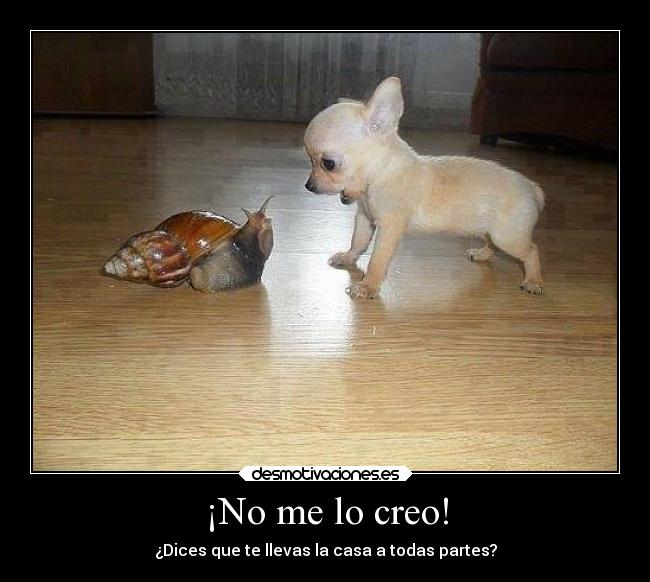 ¡No me lo creo! - 