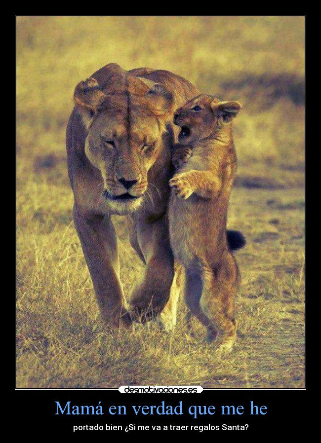 Mamá en verdad que me he - 