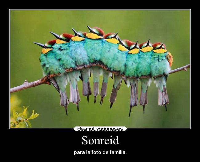Sonreid - 