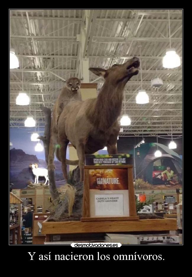 Y así nacieron los omnívoros. - 