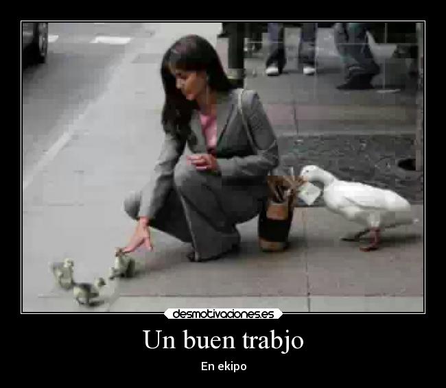 carteles humor desmotivaciones