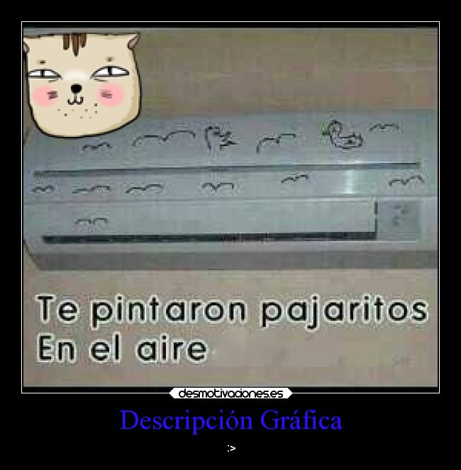 Descripción Gráfica -