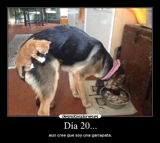Día 20... - aun cree que soy una garrapata.