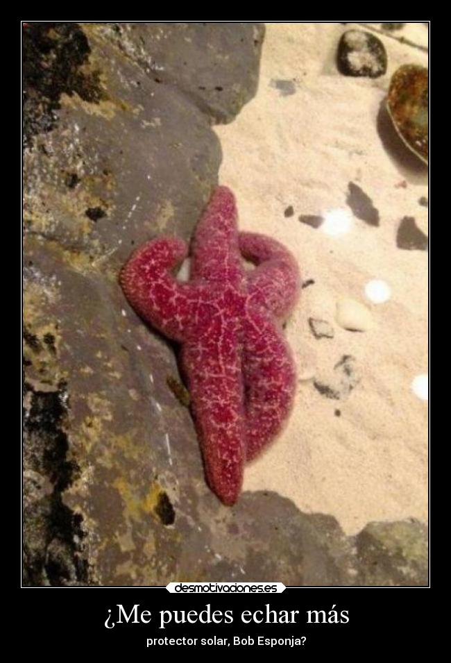 ¿Me puedes echar más - protector solar, Bob Esponja?