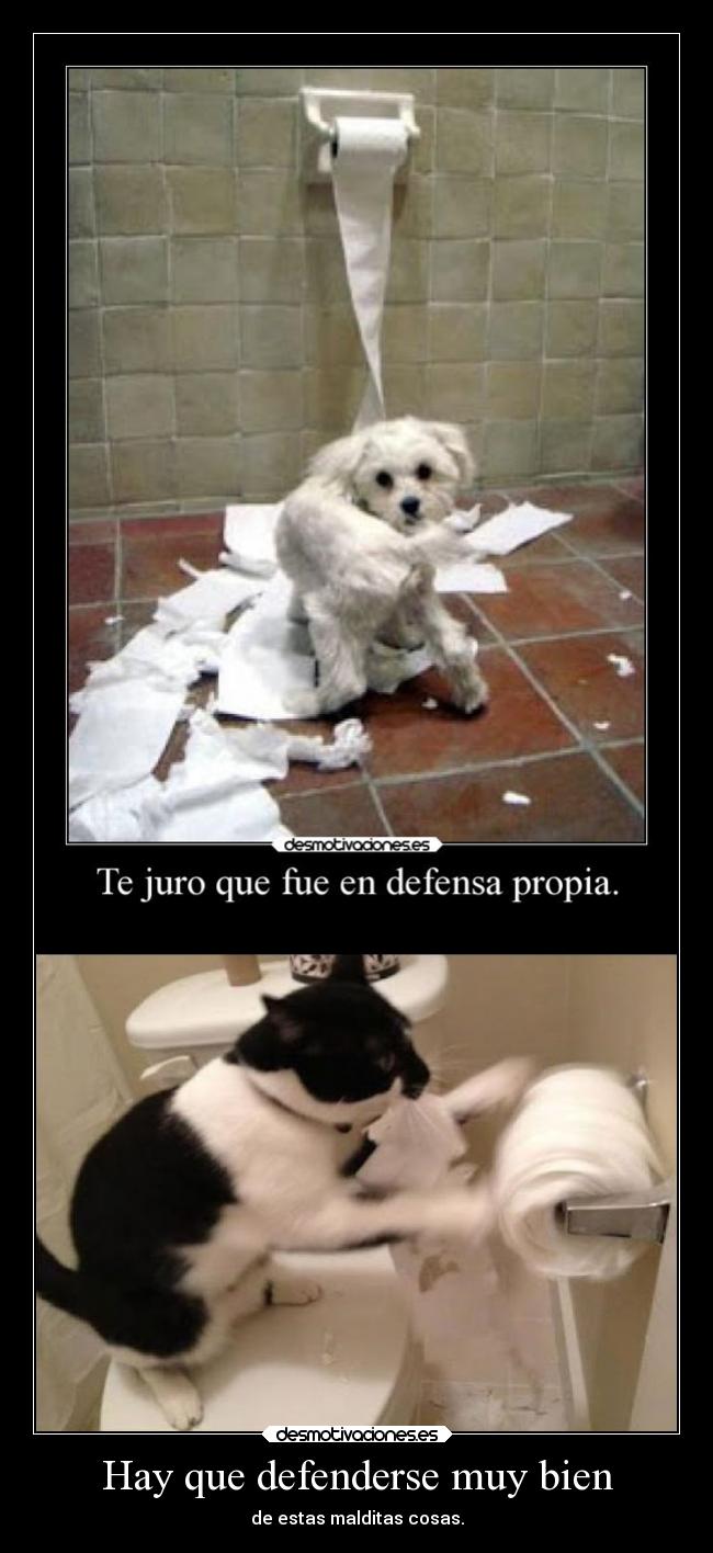 carteles humor gatosdefendiendose jesshellscythe desmotivaciones