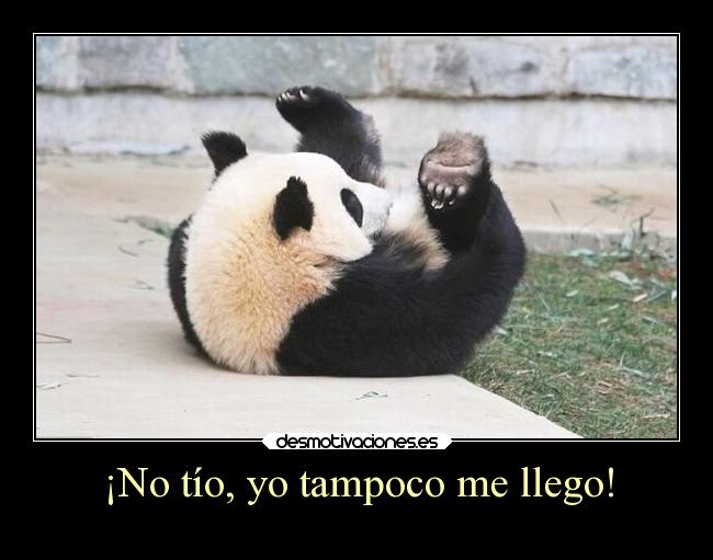 ¡No tío, yo tampoco me llego! -