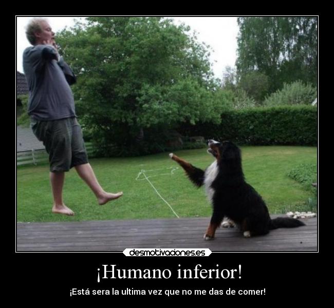 ¡Humano inferior! - 