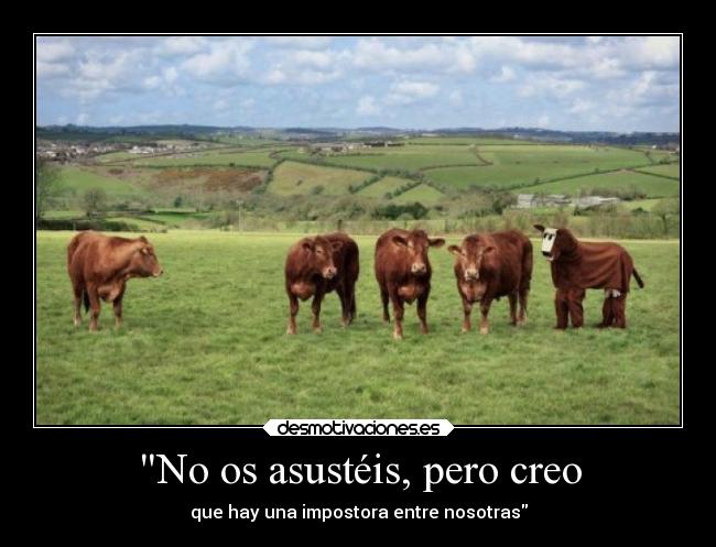 No os asustéis, pero creo -