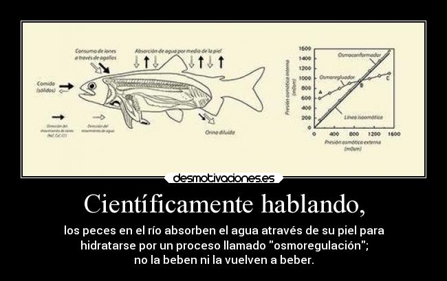 Científicamente hablando, -