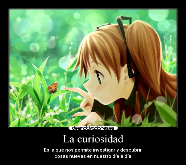 La curiosidad - 