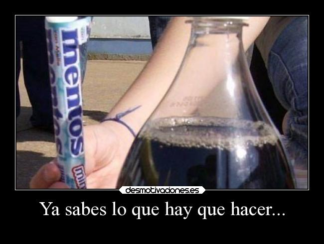 Ya sabes lo que hay que hacer... - 