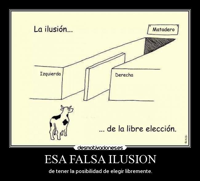 ESA FALSA ILUSION -