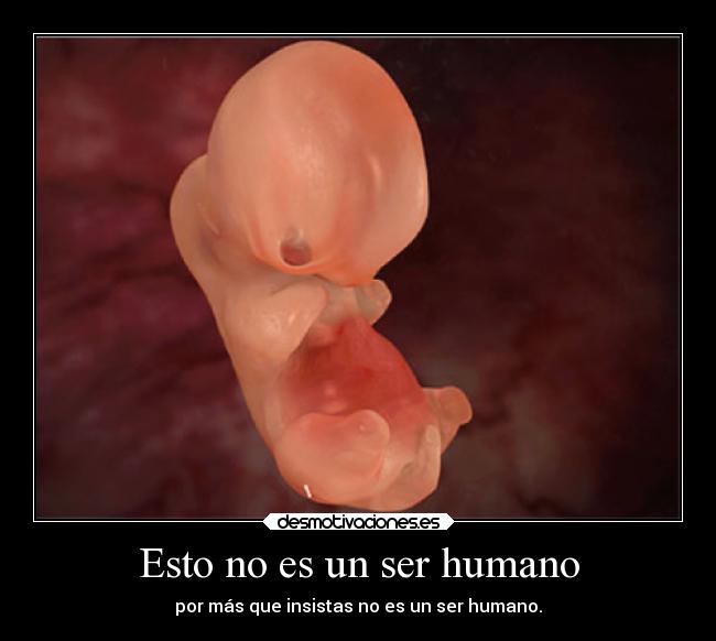 Esto no es un ser humano -