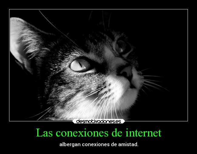 Las conexiones de internet - albergan conexiones de amistad.