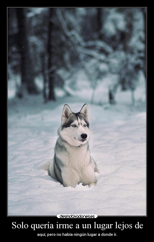 Solo quería irme a un lugar lejos de - 