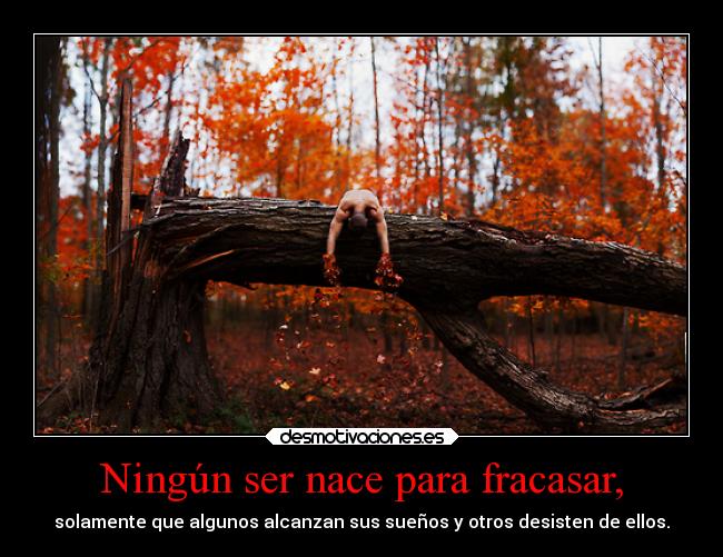 Ningún ser nace para fracasar, - 
