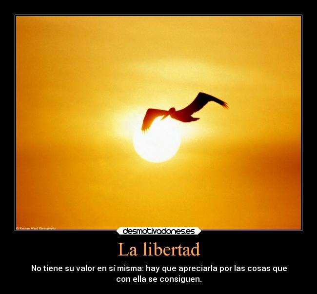 La libertad - No tiene su valor en sí misma: hay que apreciarla por las cosas que
con ella se consiguen.