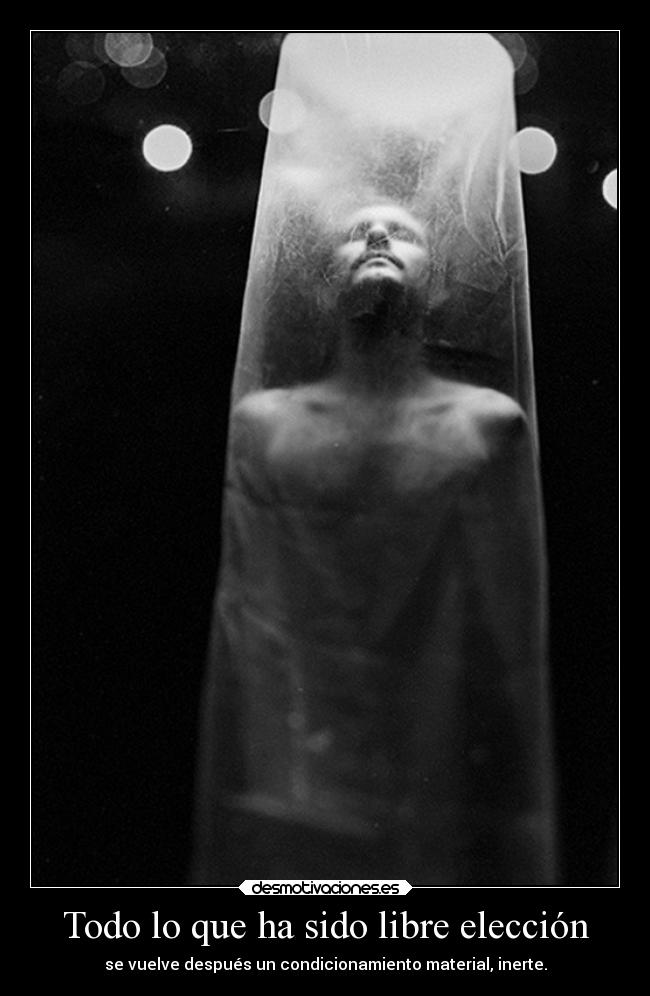 Todo lo que ha sido libre elección -