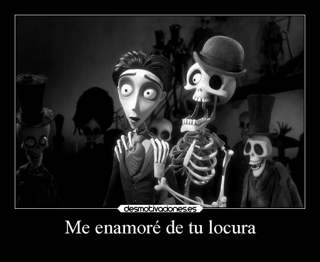Me enamoré de tu locura -
