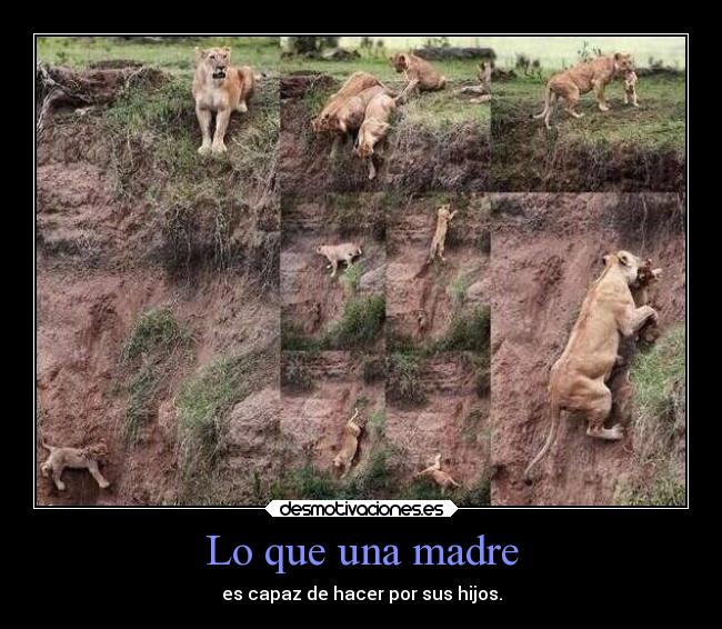 Lo que una madre -