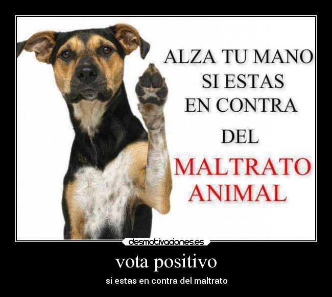 vota positivo - si estas en contra del maltrato