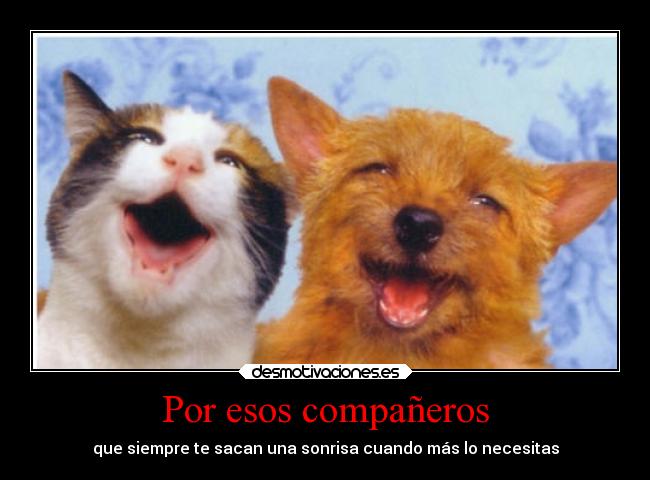 Por esos compañeros - que siempre te sacan una sonrisa cuando más lo necesitas