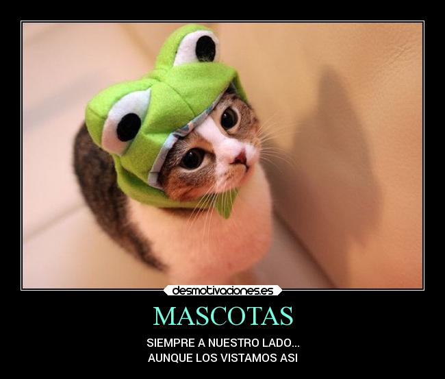 MASCOTAS -