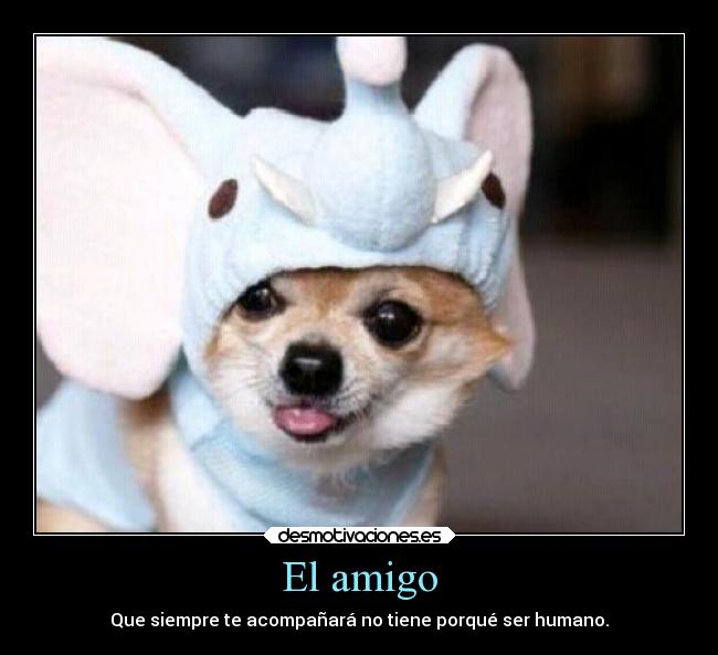 carteles memes alma amigos amistad corazon animales confianza desmotivaciones anime perros desmotivaciones