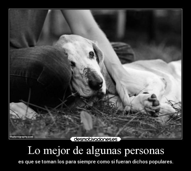 Lo mejor de algunas personas - 