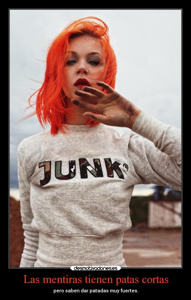 carteles mentira desmotivaciones