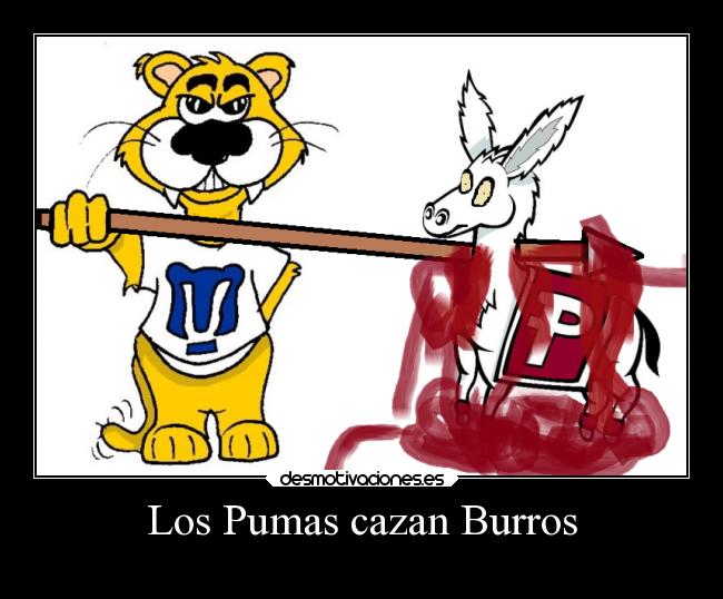 Los Pumas cazan Burros - 