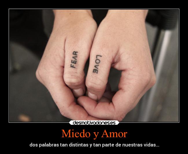 Miedo y Amor - dos palabras tan distintas y tan parte de nuestras vidas...