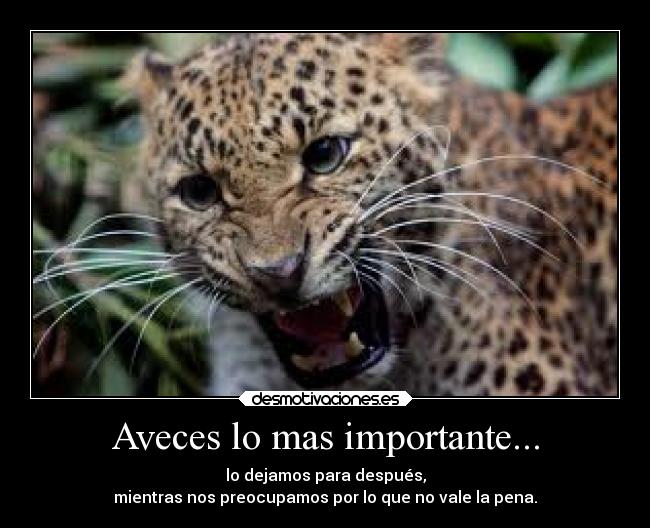 Aveces lo mas importante... - lo dejamos para después,
mientras nos preocupamos por lo que no vale la pena.