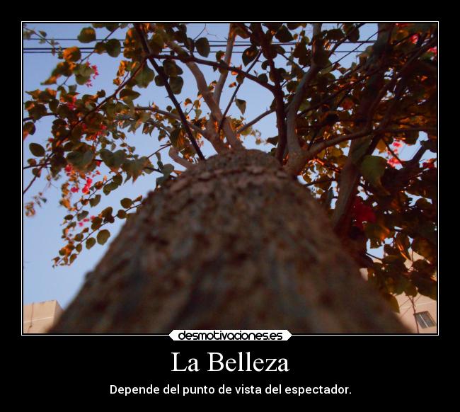 La Belleza - 