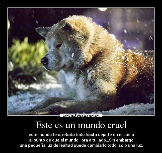 Este es un mundo cruel - este mundo te arrebata todo hasta dejarte en el suelo
al punto de que el mundo llora a tu lado...Sin embargo
una pequeña luz de lealtad puede cambiarlo todo, solo una luz.