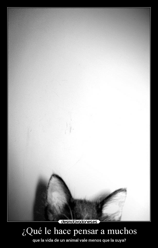 ¿Qué le hace pensar a muchos -