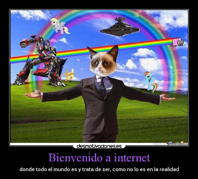 Bienvenido a internet -