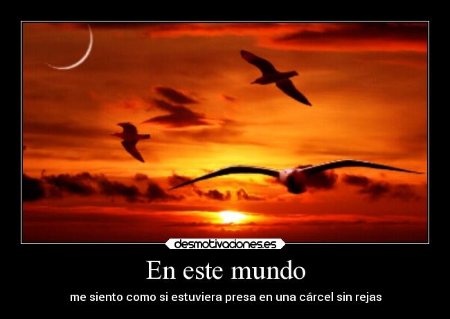 carteles mundo vida libertad desmotivaciones cielo desmotivaciones