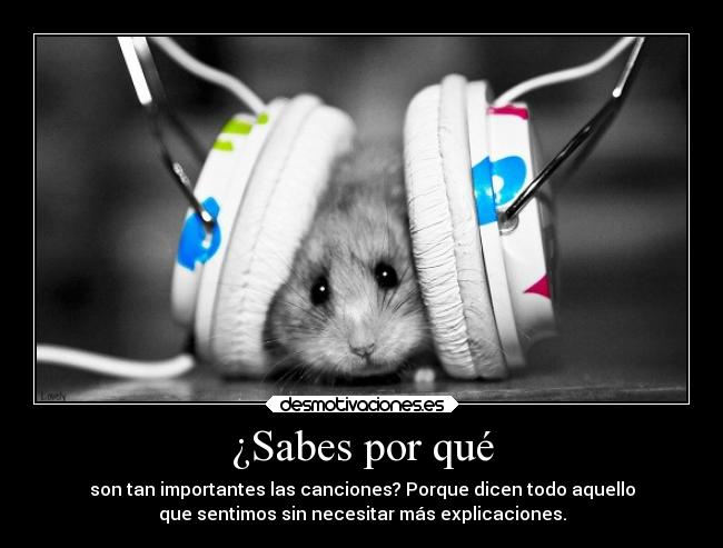 ¿Sabes por qué -