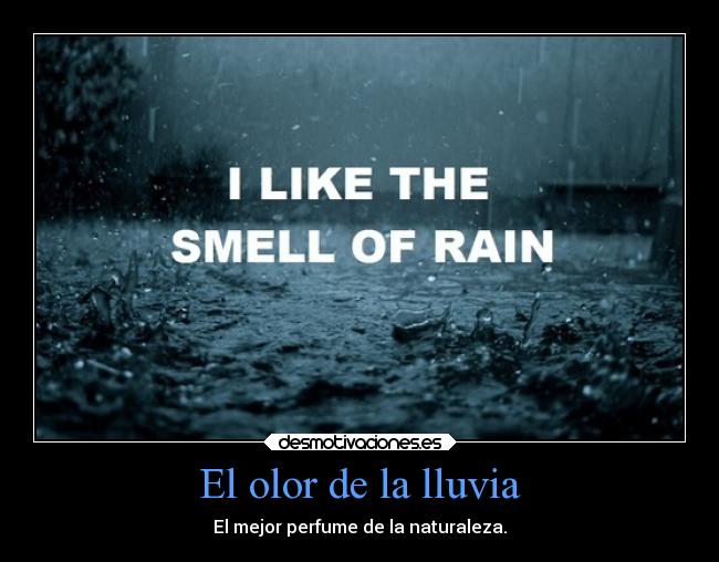 El olor de la lluvia -