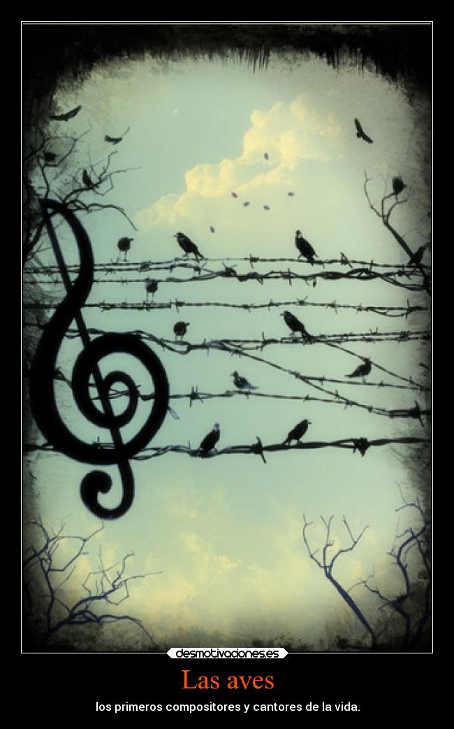 Las aves - los primeros compositores y cantores de la vida.